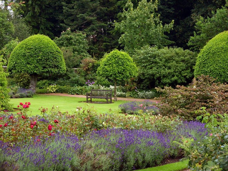Crathes Castle Gardens