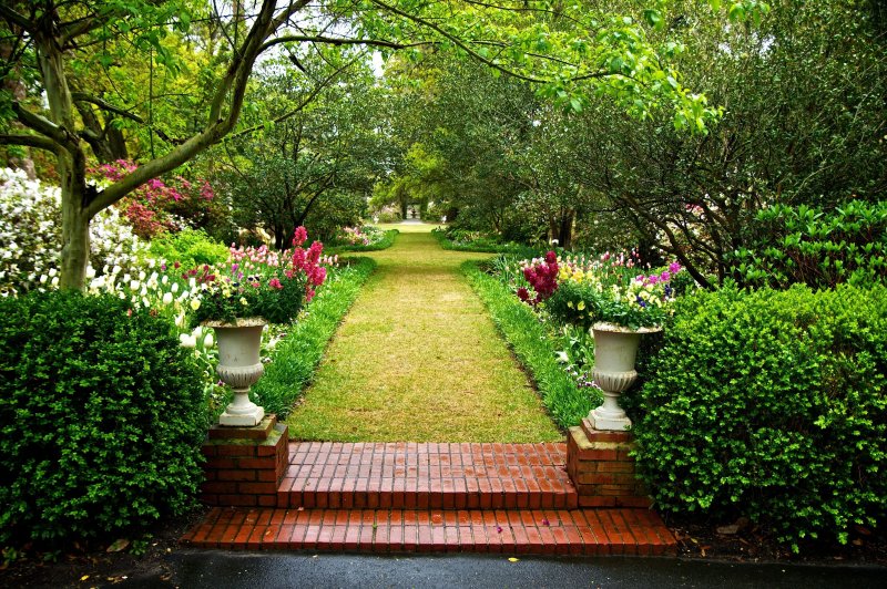 Гарден сад Garden Sad