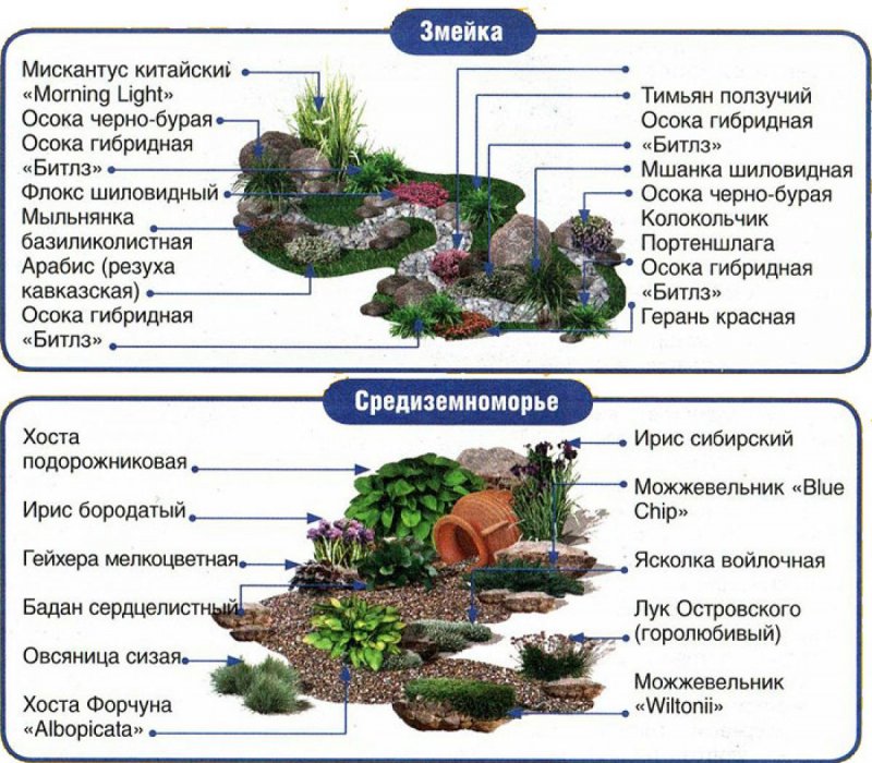 Растения для альпийской горки схема посадки