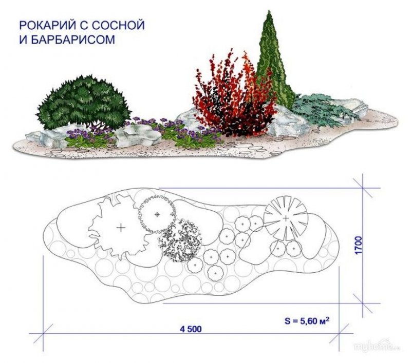Рокарий Каменистый сад схема