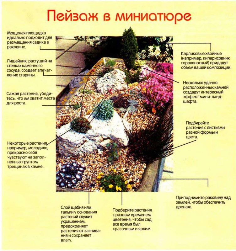 Схема устройства альпинария
