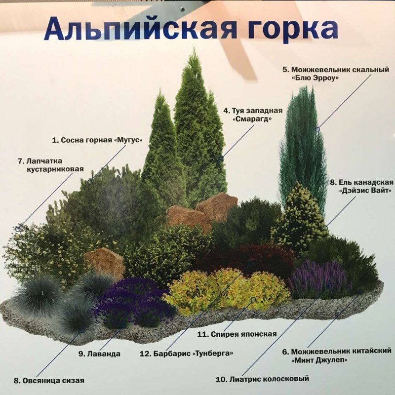 План альпийской горки