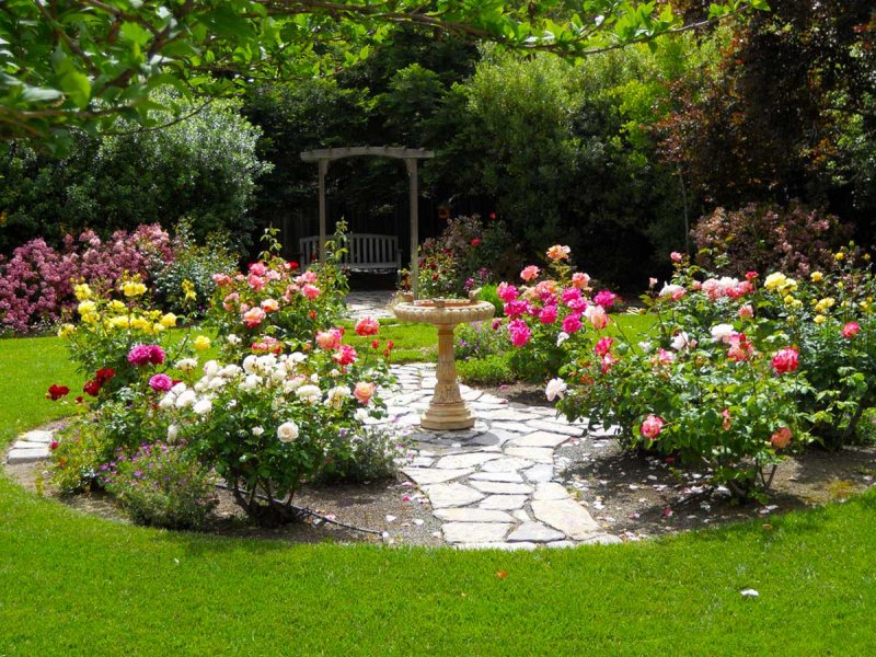 Rose Garden. Розарий.
