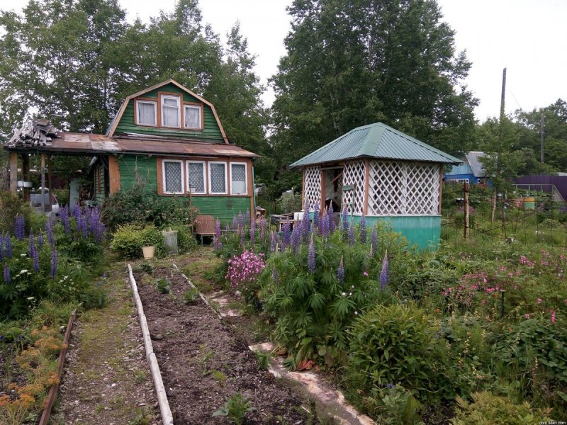 Ухоженные дачные участки