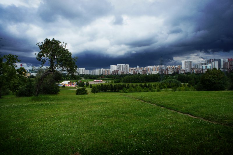 Ландшафтный парк Митино Москва
