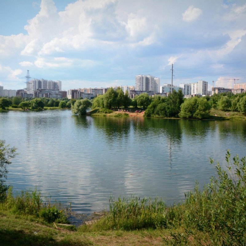 Митино парк