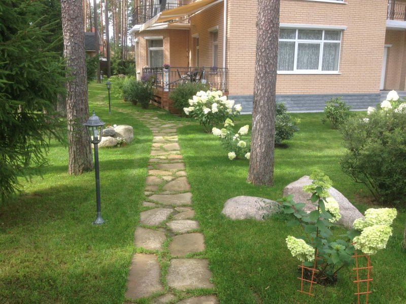 Озеленение дачного участка 20 соток