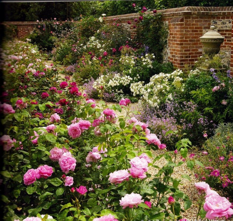 Инглиш Гарден (English Garden)