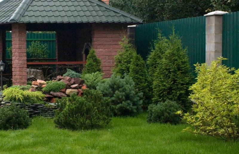 Хвойники коттедж ландшафт