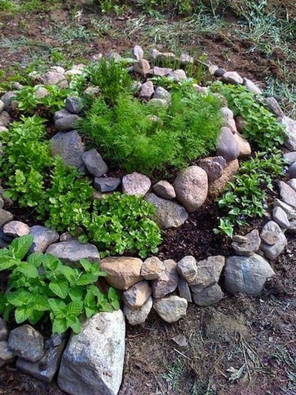 Клумба Альпийская горка