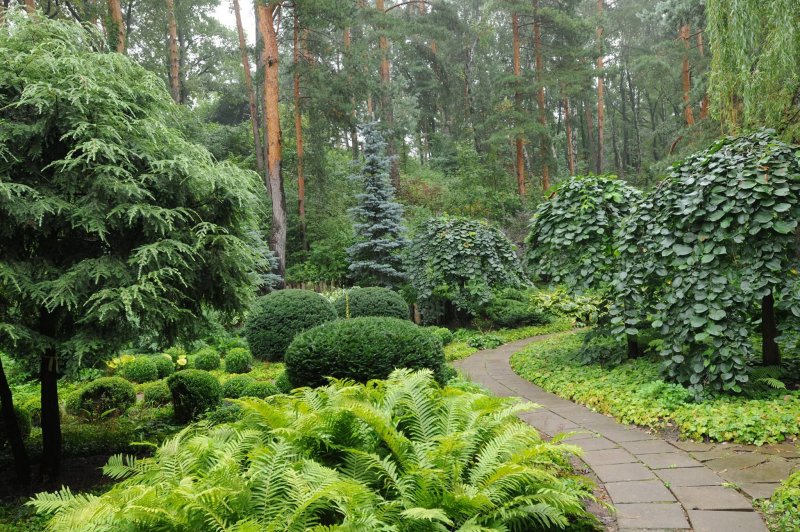 Владимир Колесников ландшафтный Архитектор