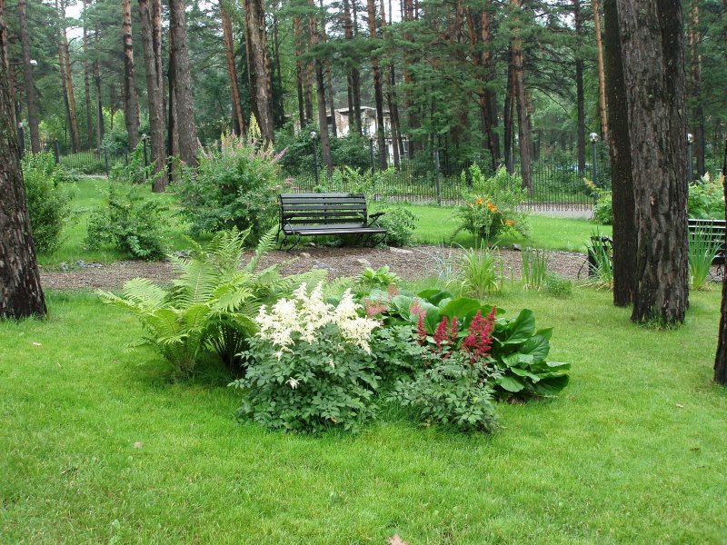 Лесная опушка в ландшафте