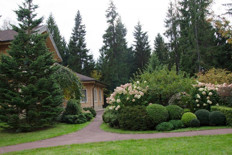 Сады с хвойниками Германия