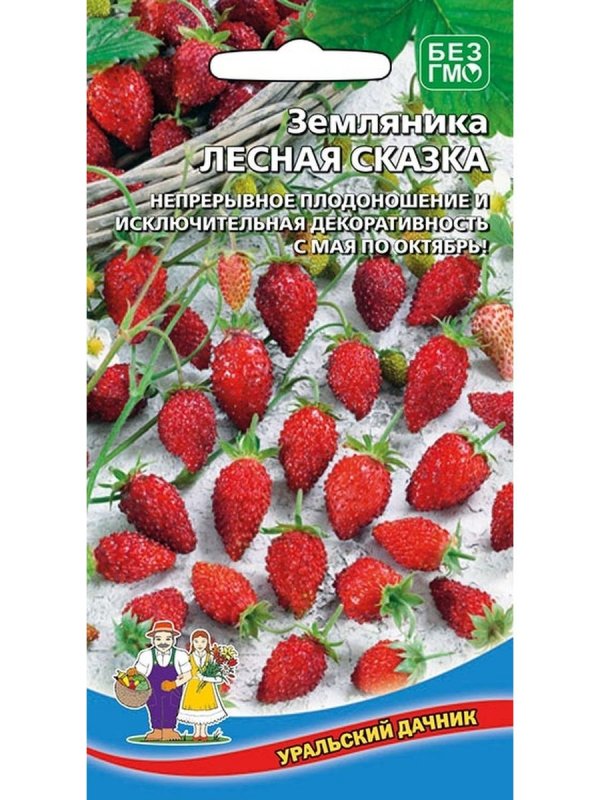 Земляника сорт Нелли