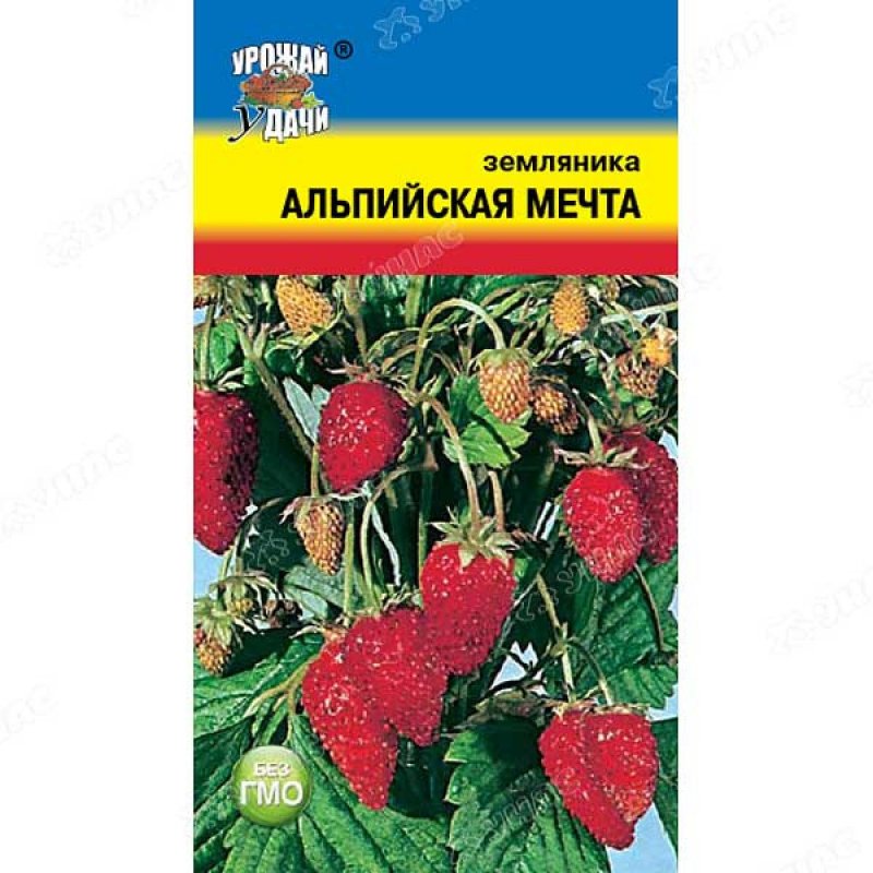 Дилюк клубника