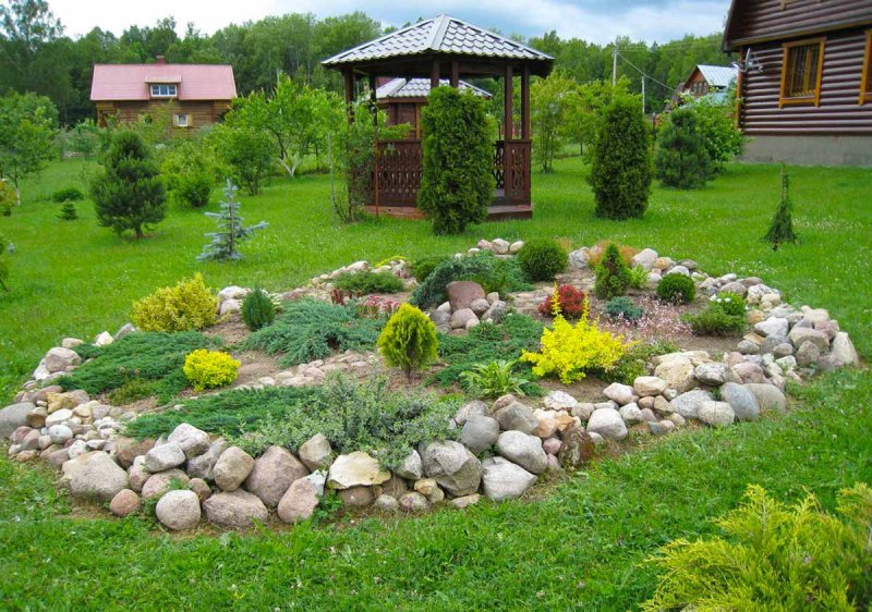 Клумба рокарий