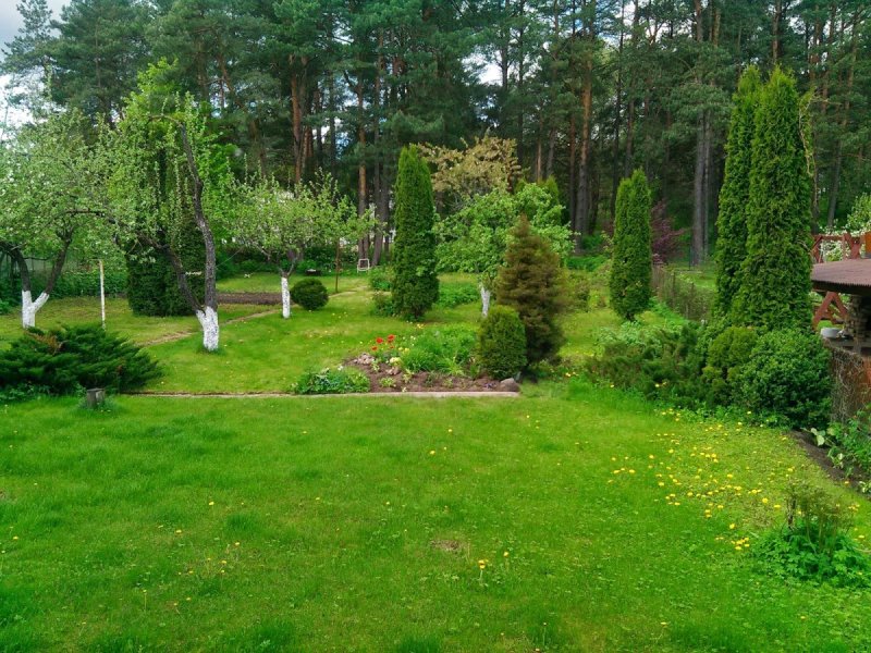 Финский сад