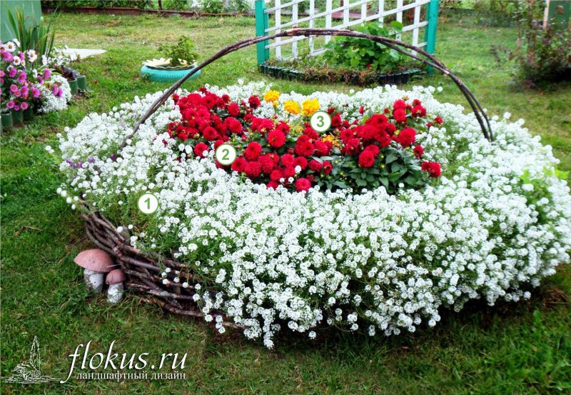 Композиции клумб