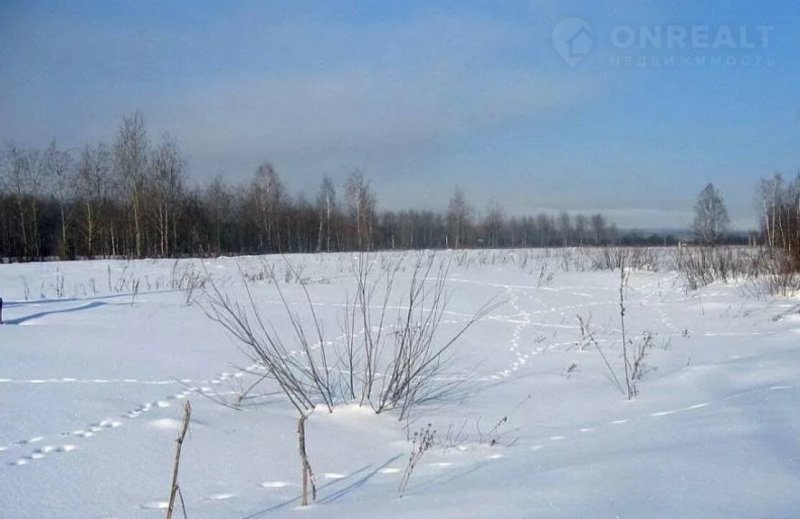 Пустой участок зимой