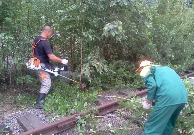 Спил деревьев кустарников