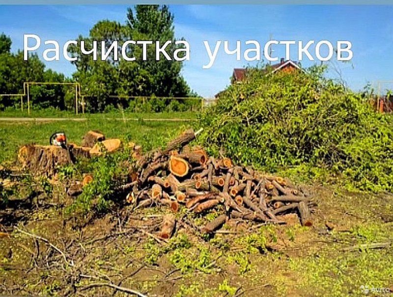 Кусты спиленные