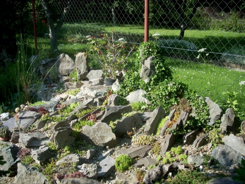 Чешская Альпийская горка скалка