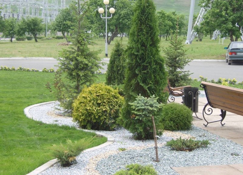 Кипарисовик Элвуди в ландшафтном дизайне