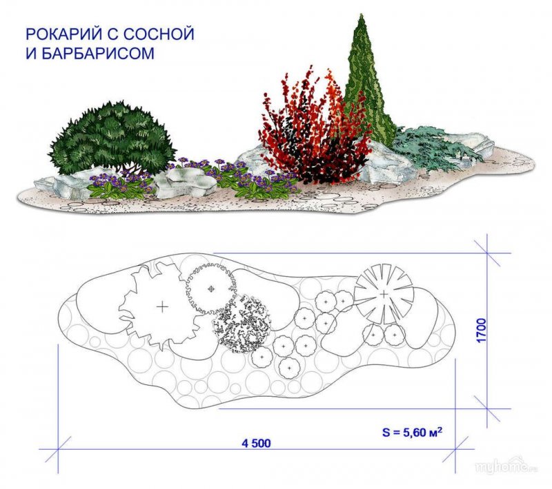 Рокарий Каменистый сад схема