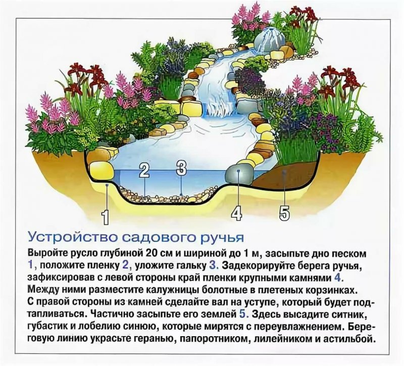 Искусственный водоем чертеж