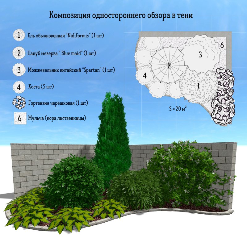 Клумба из хвойников и кустарников схема
