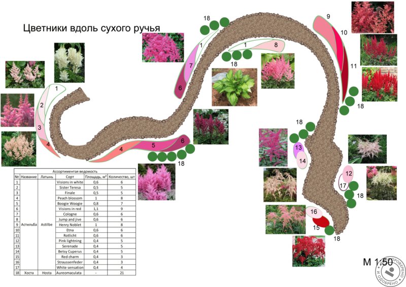 Схема клумбы сухой ручей