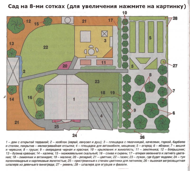 Схема расположения плодовых деревьев на участке