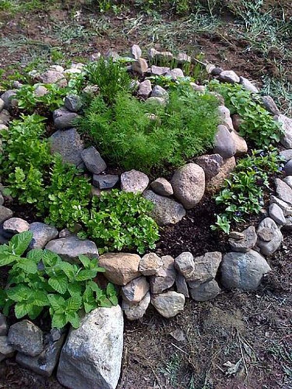 Красивые клумбы из камней