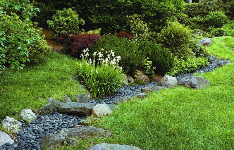 Ручей Stream Landscape Design