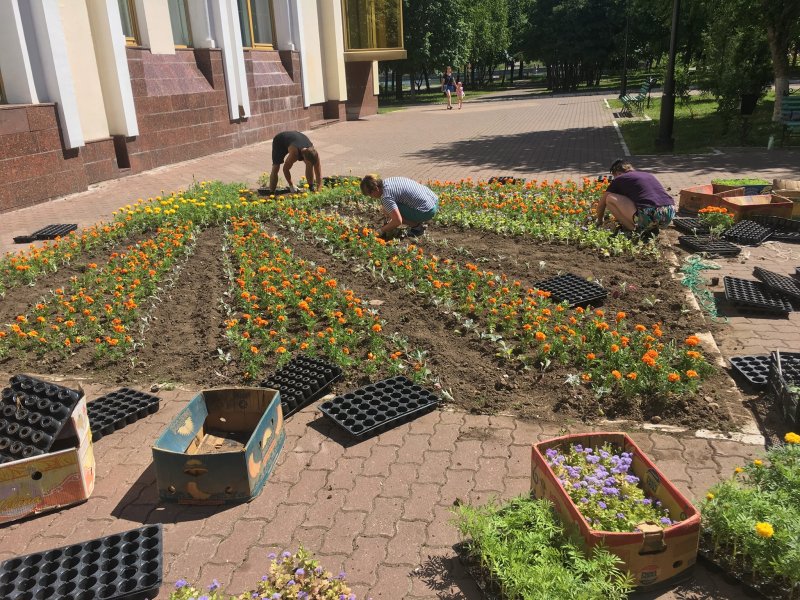 Благоустройство Красносельский клумбы