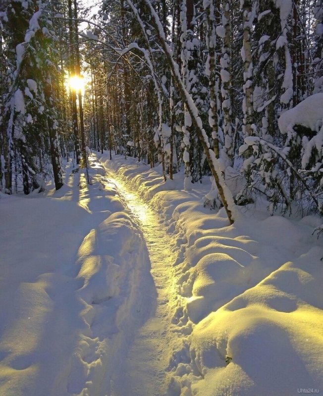 Снежная тропа