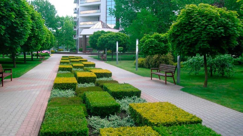 Заречный парк в Луге проект