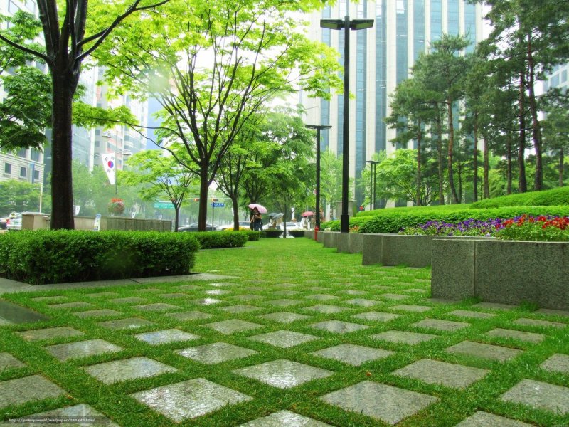 Green Park Озеленение