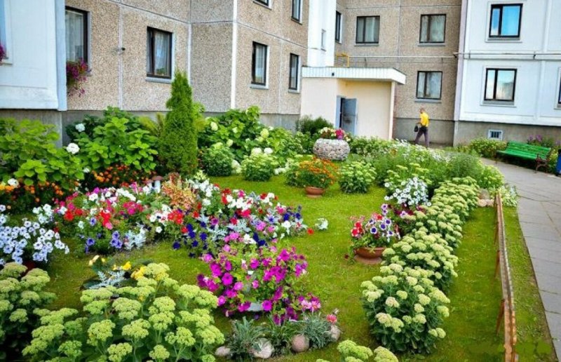 Цветник возле подъезда