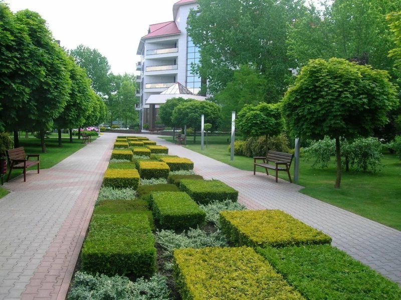 Арбан Красноярск Озеленение