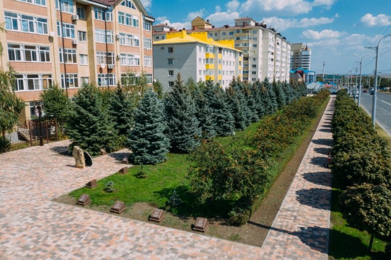 Сосны в городском озеленении