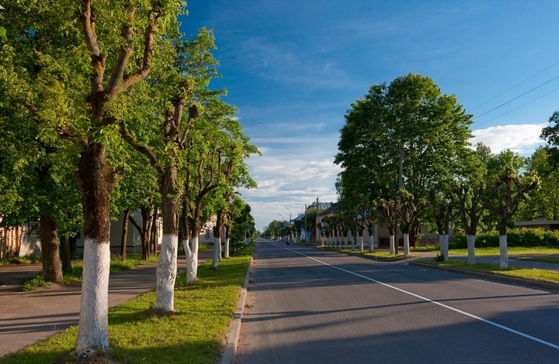 Зеленые насаждения в городе
