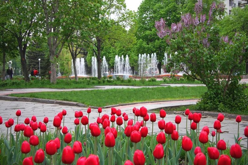 Самара парк Гагарина цветы
