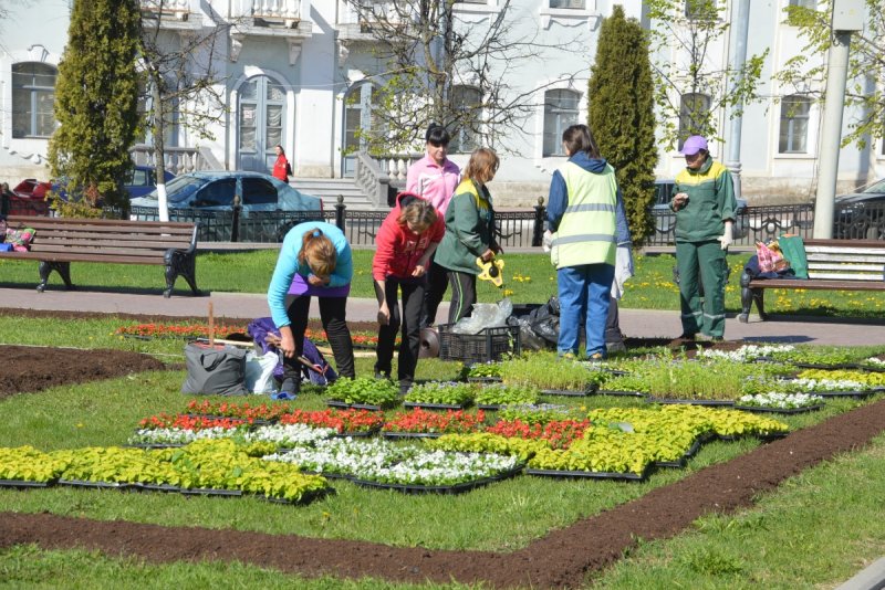 Зеленстрой Курск