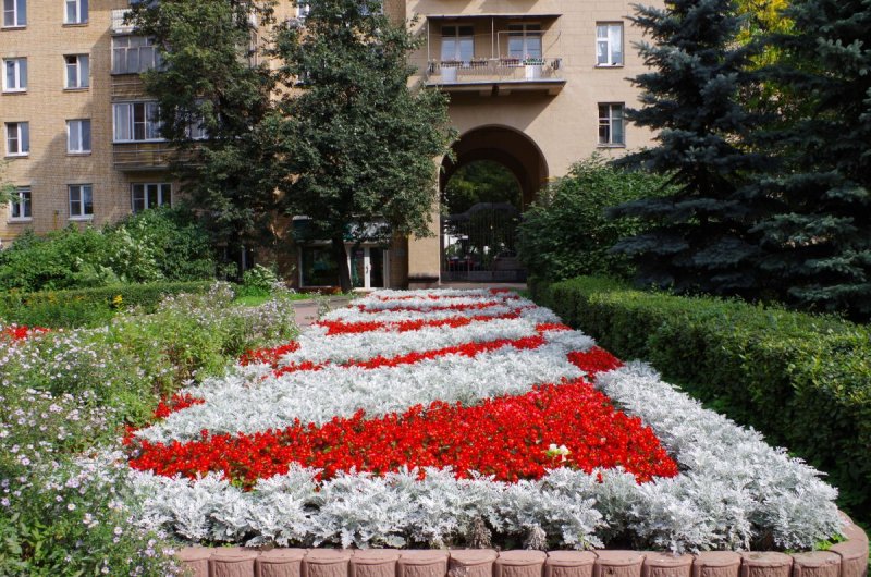 Цветники в городе