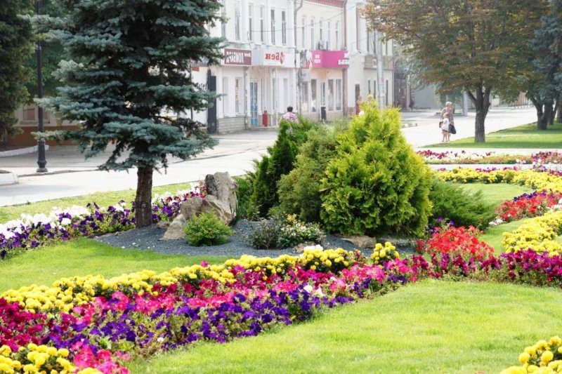 Озеленение городских территорий