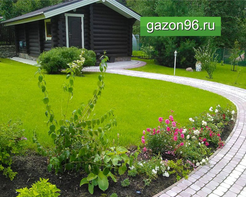Ландшафт газона на дачном участке