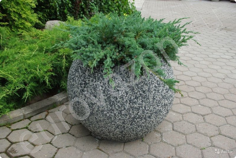 Вазоны из бетона ландшафт