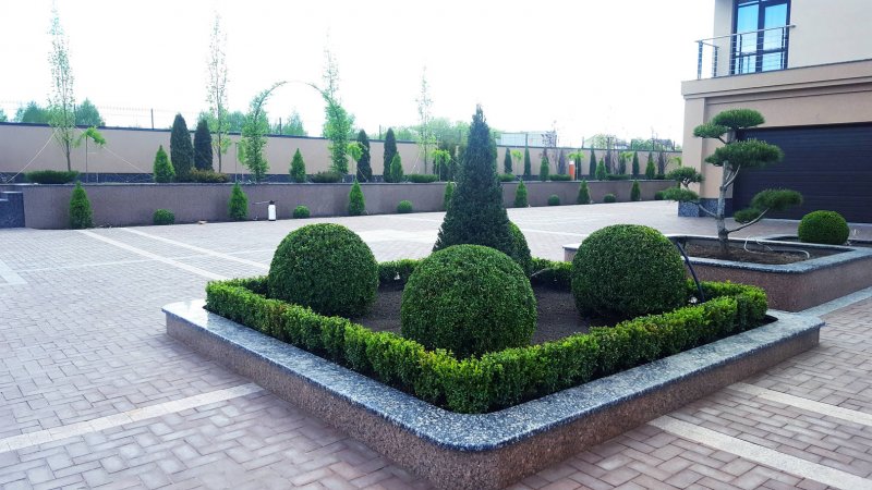 Ландшафт перед офисом