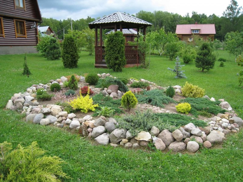 Клумба рокарий